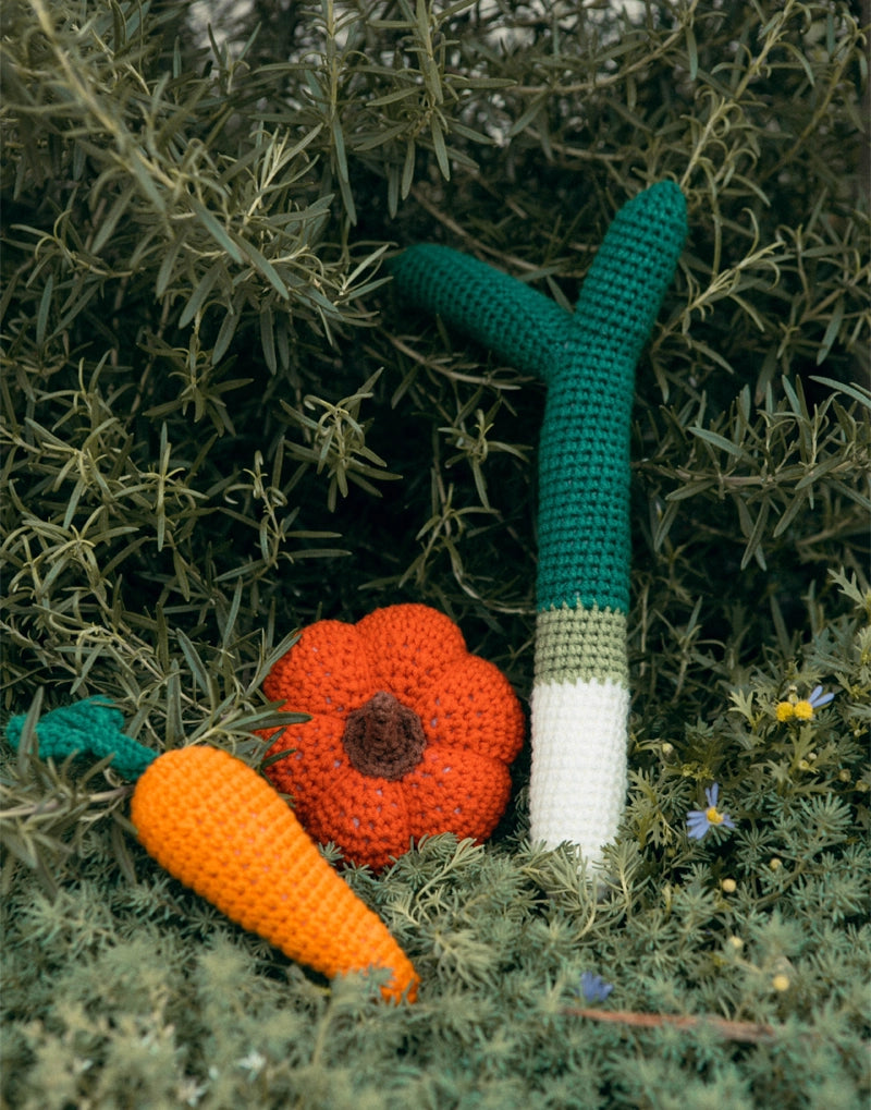 GARDEN CHEWS