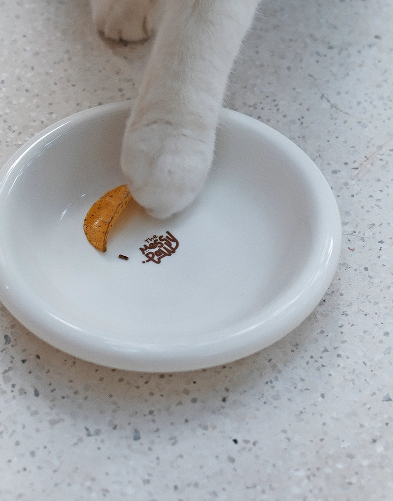 HALO HANDMADE SHALLOW CERAMIC PET BOWL