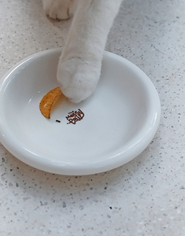 HALO HANDMADE SHALLOW CERAMIC PET BOWL