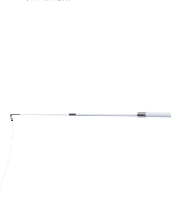 PULL-FISH WAND