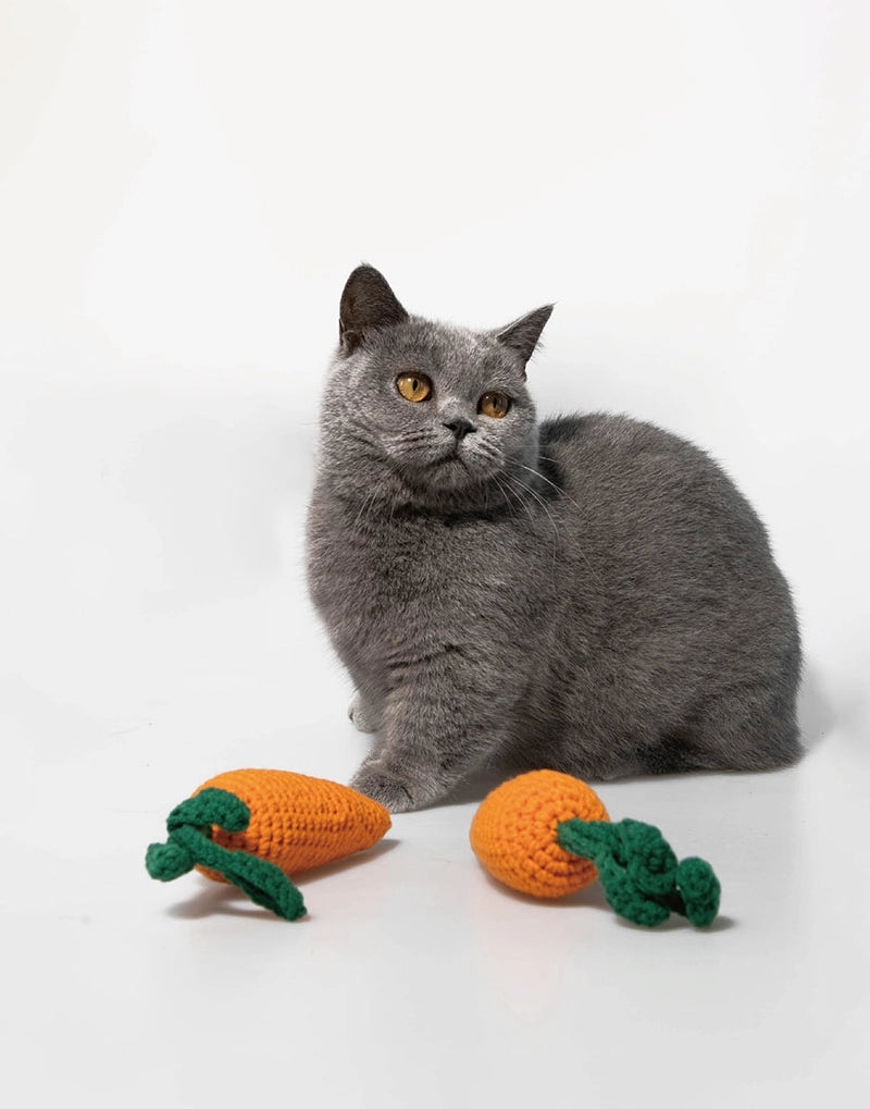 GARDEN CHEWS CATNIP TOY