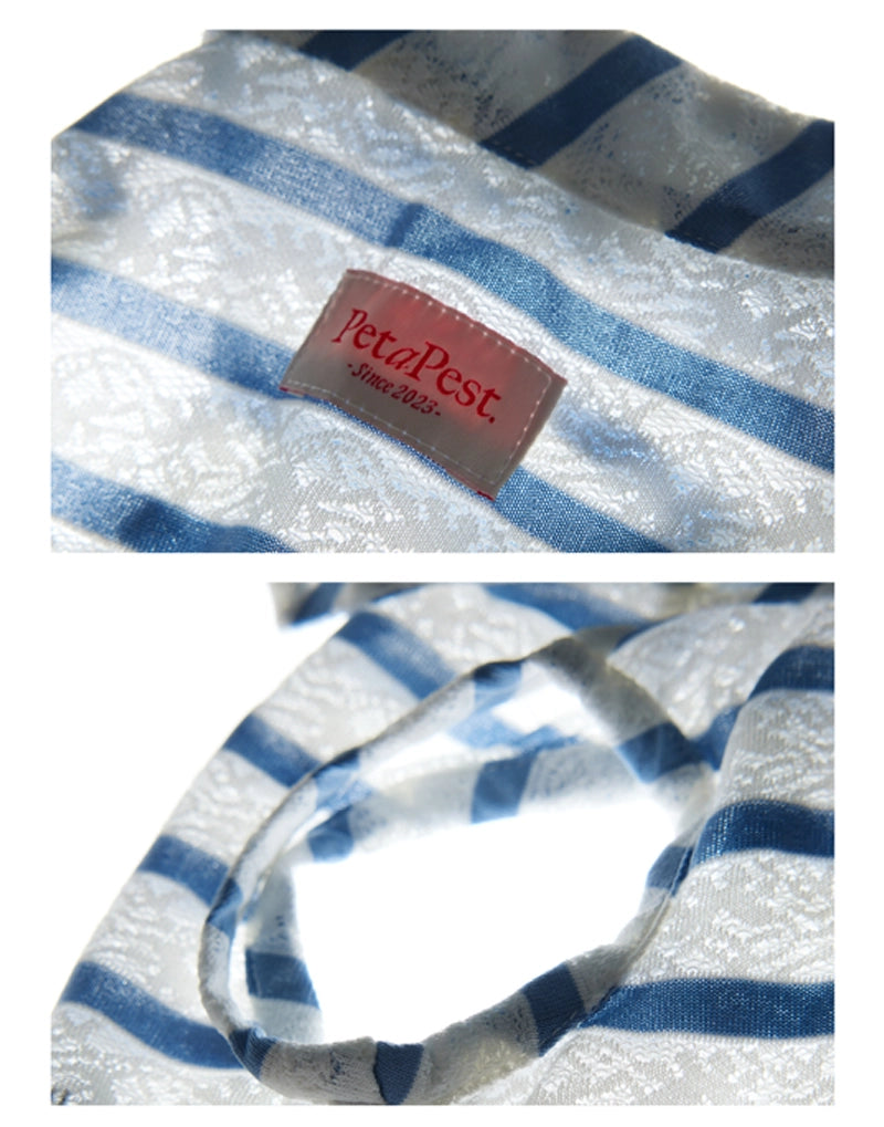 LACE STRIPE SUMMER TOP