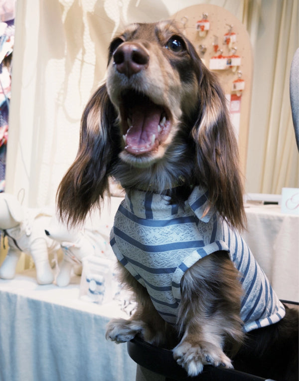 LACE STRIPE SUMMER TOP