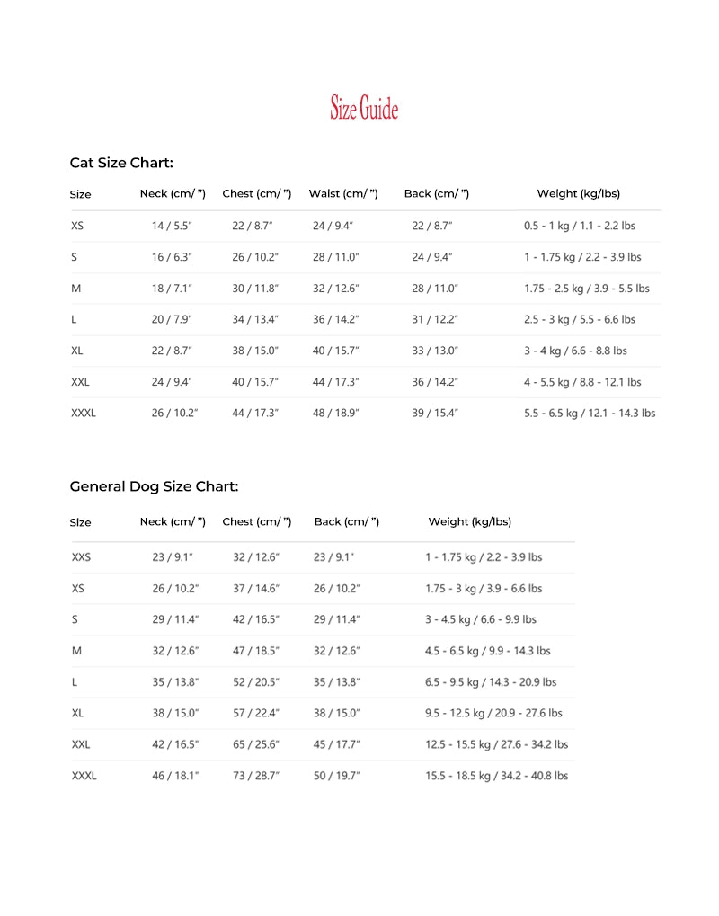 LACE STRIPE SUMMER TOP