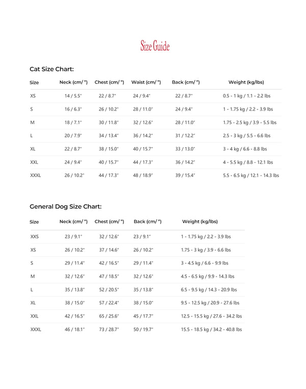 LACE STRIPE SUMMER TOP