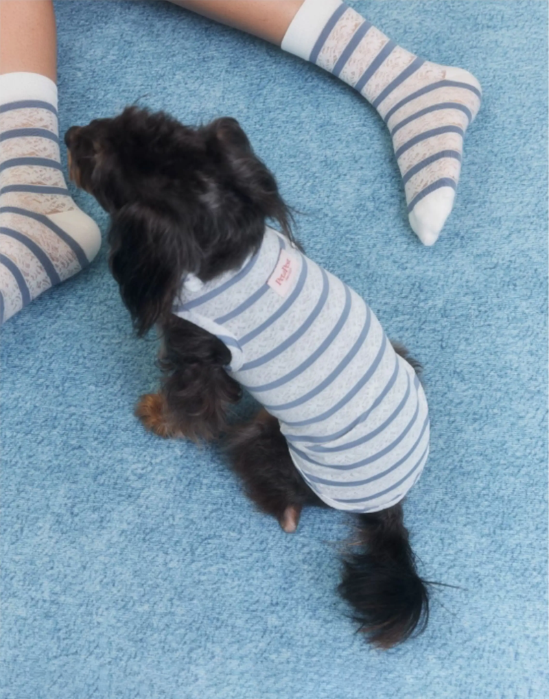 LACE STRIPE SUMMER TOP