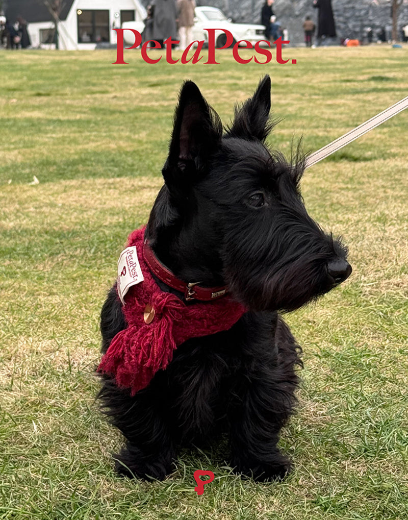 HAND-CROCHETED FRINGED SCARF