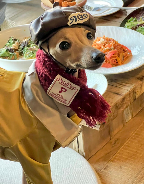 HAND-CROCHETED FRINGED SCARF