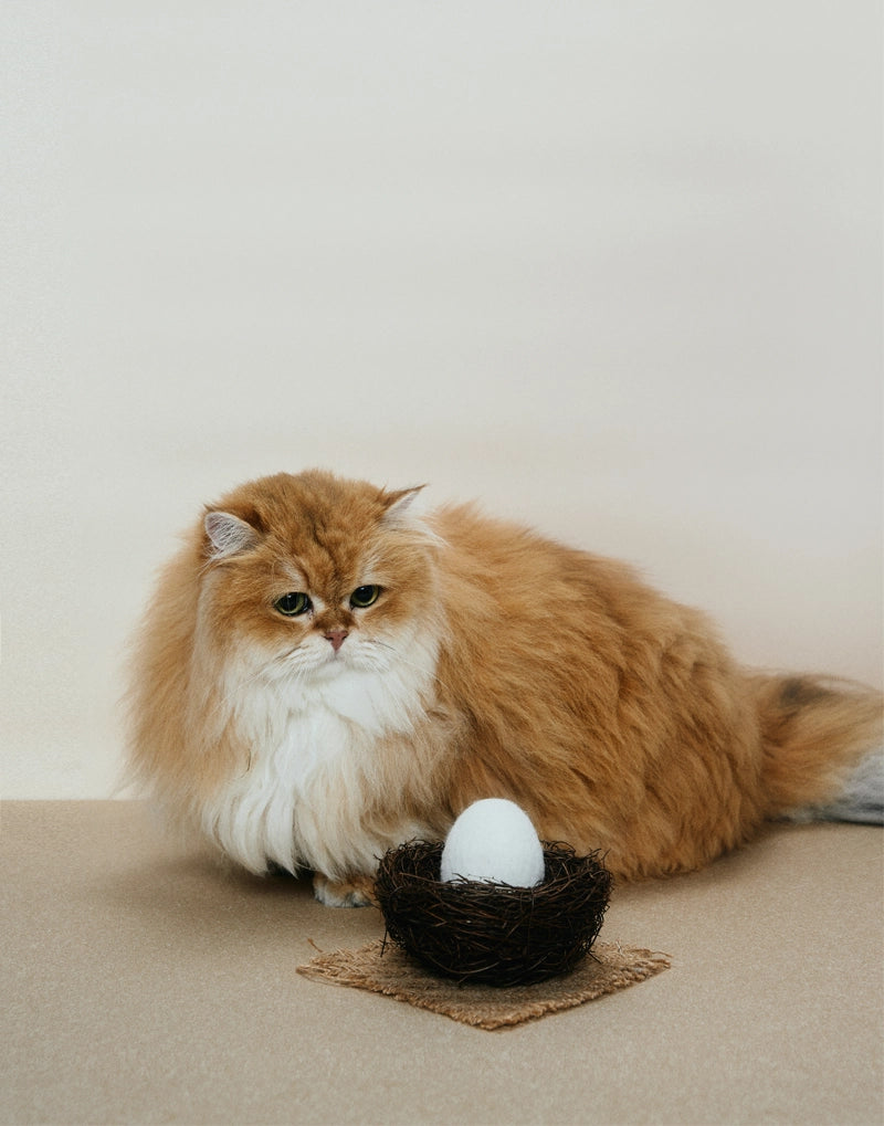 BAGUETTE & EGG CATNIP TOY