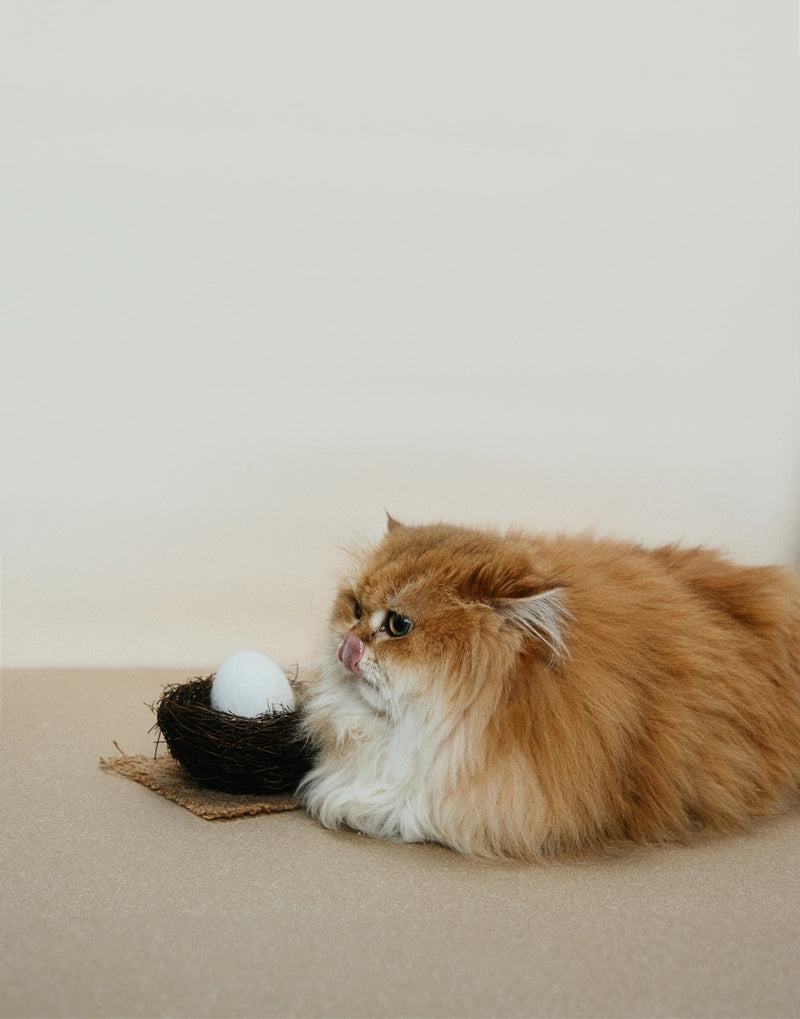 BAGUETTE & EGG CATNIP TOY