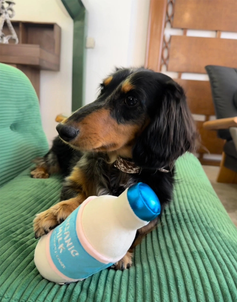 CUPCAKE & MILK SQUEAKY TOY