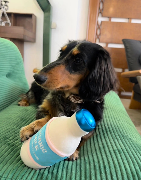 CUPCAKE & MILK SQUEAKY TOY