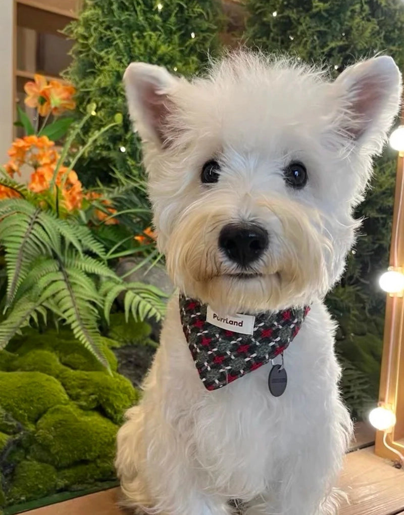 TweedPaw Birthday Bandana – Stylish Pet Scarf for Cats & Dogs