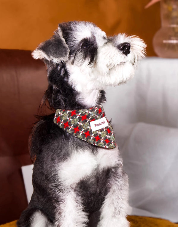TweedPaw Birthday Bandana – Stylish Pet Scarf for Cats & Dogs
