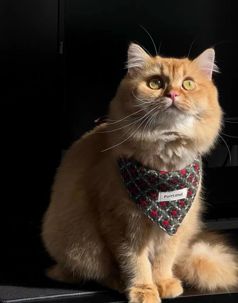 TweedPaw Birthday Bandana – Stylish Pet Scarf for Cats & Dogs