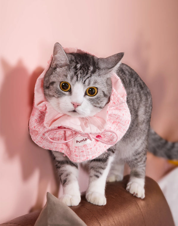CreamBloom Tweed Snood – Windproof Neck Warmer for Cats & Dogs