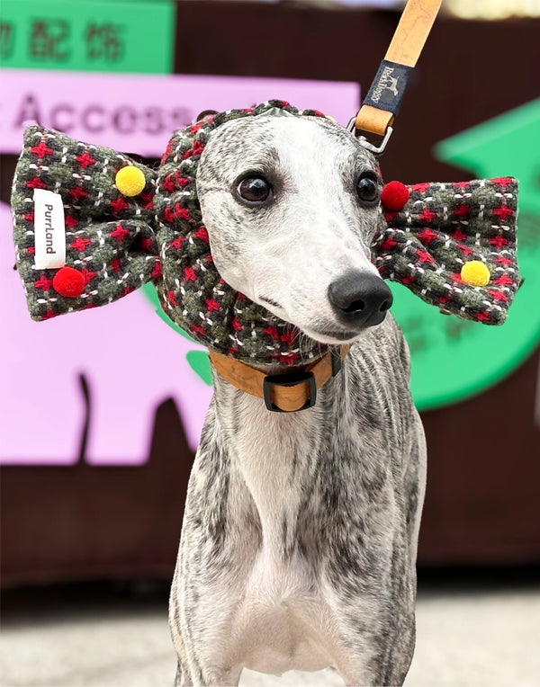 TweedCandy Pet Hood – Birthday-Ready Headpiece for Cats & Dogs