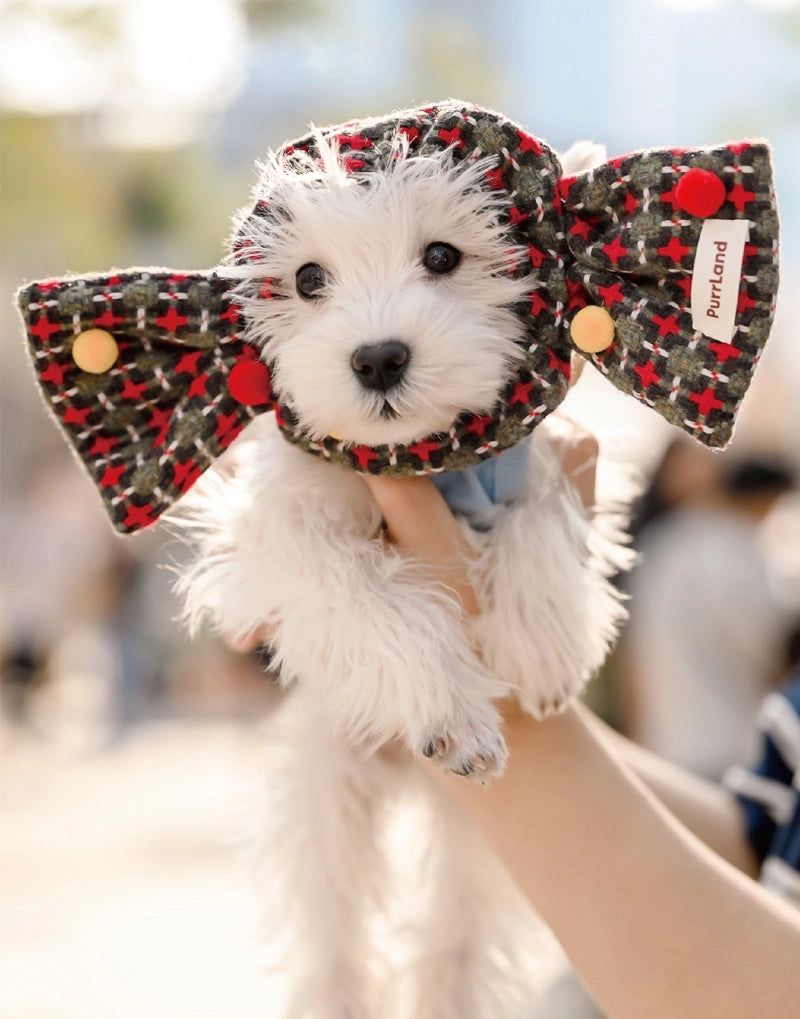 TweedCandy Pet Hood – Birthday-Ready Headpiece for Cats & Dogs