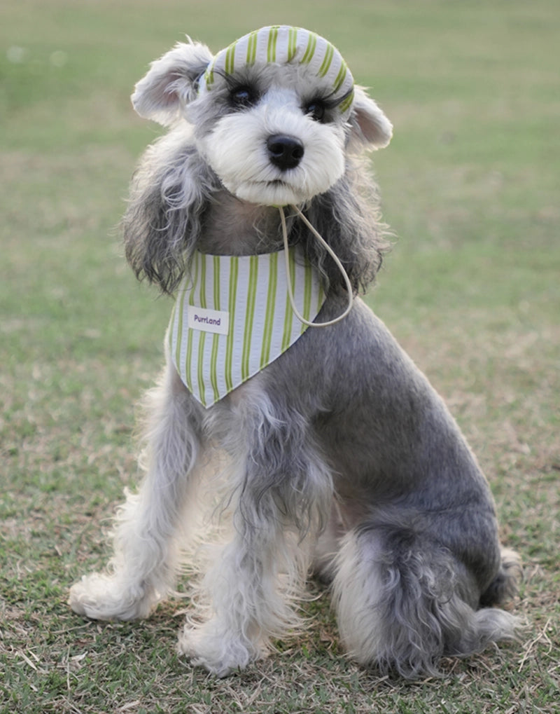 StripePaw Pet Caps – Adjustable Striped Hats for Cats & Dogs