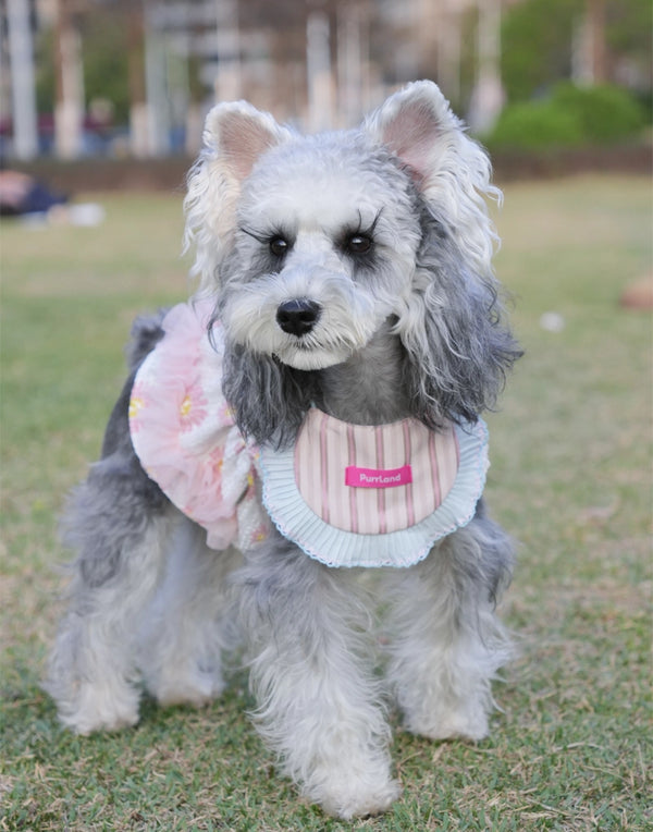 Blush Striped Birthday Bandana – Stylish Pet Bib for Cats & Dogs