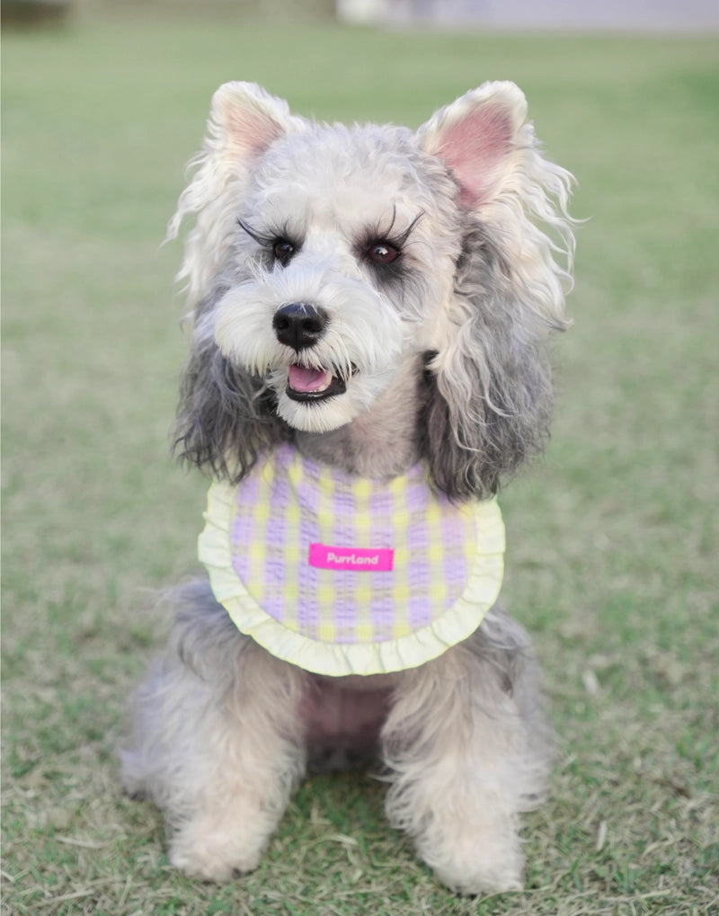 Lilac & Sage Stripe Bandana – A Soft Accent for Celebratory Days