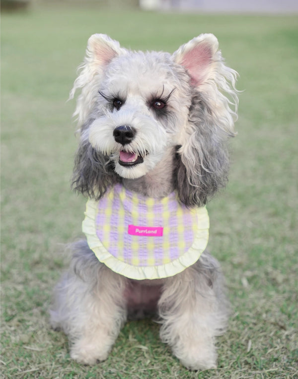 Lilac & Sage Stripe Bandana – A Soft Accent for Celebratory Days