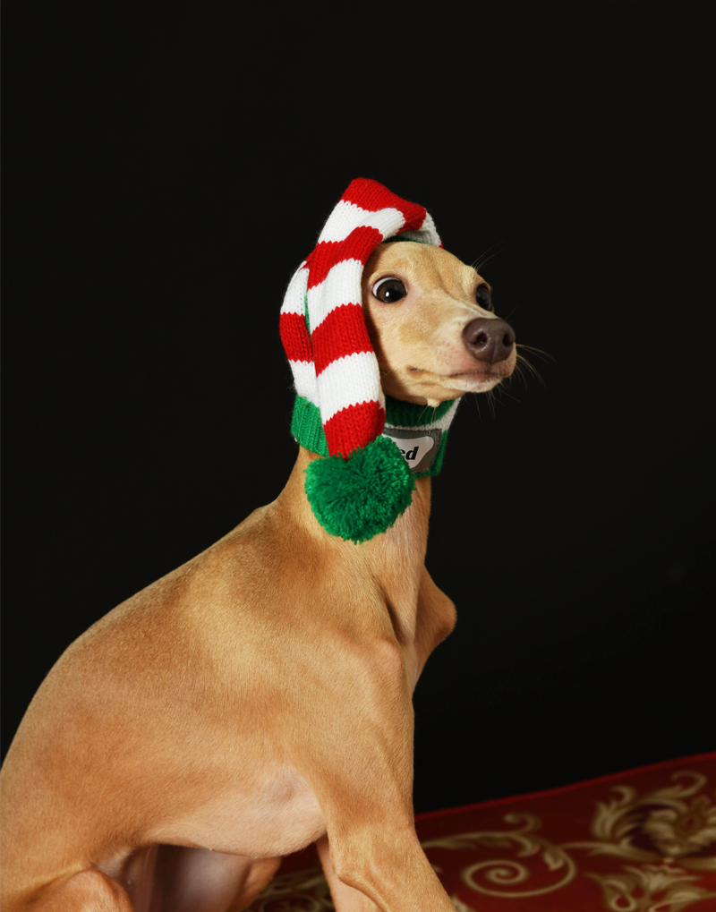 CHRISTMAS KNIT POM HAT
