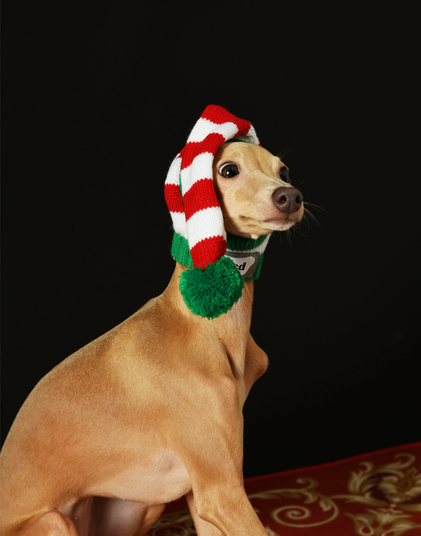 CHRISTMAS KNIT POM HAT