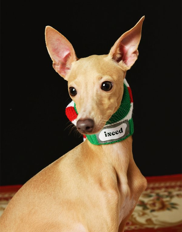 CHRISTMAS KNIT POM HAT