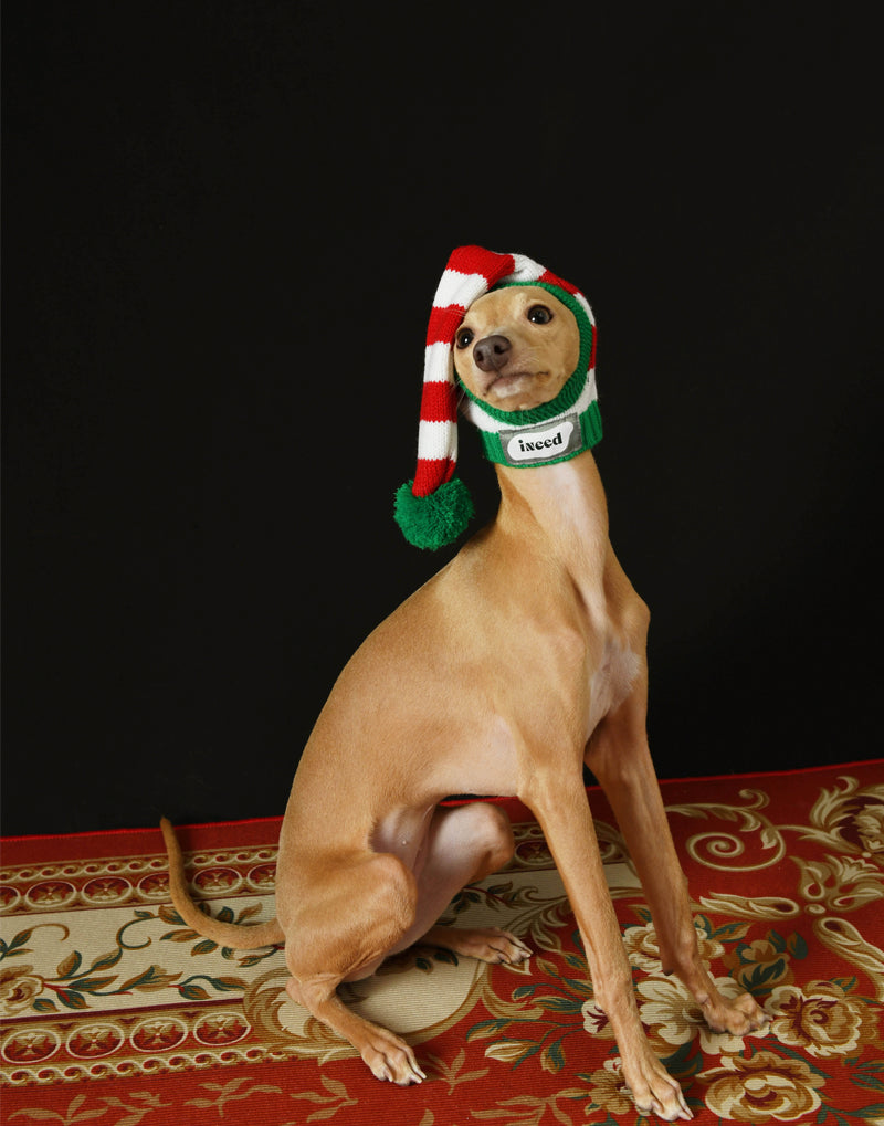 CHRISTMAS KNIT POM HAT