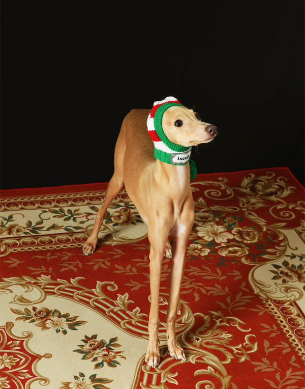 CHRISTMAS KNIT POM HAT