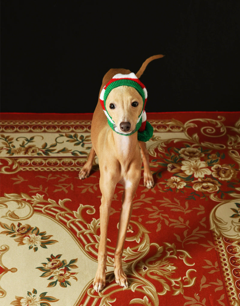 CHRISTMAS KNIT POM HAT