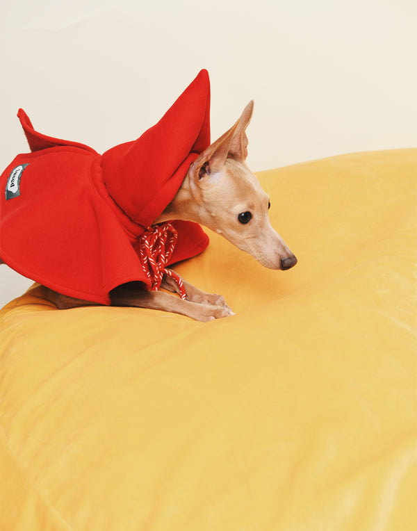 RED RIDING CAPE