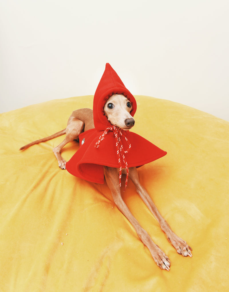 RED RIDING CAPE