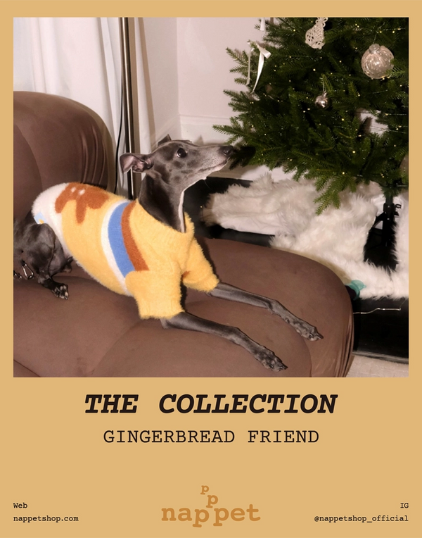 GINGERBREAD FRIEND – JUMPER