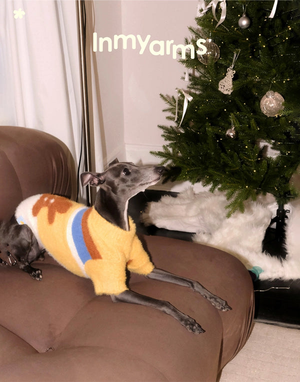 GINGERBREAD FRIEND – SWEATER