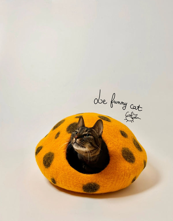 MYSTERIOUS BLUE CRYSTAL & ROTTEN PUMPKIN