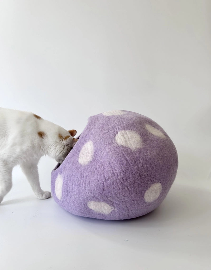 TARO BOBO
