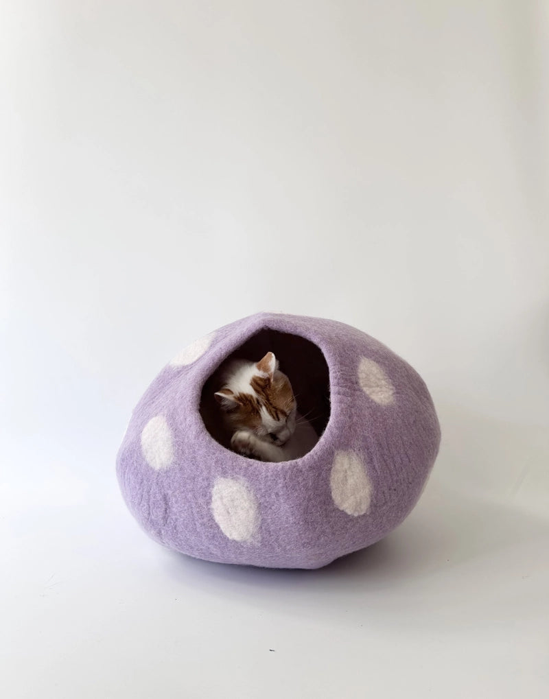 TARO BOBO
