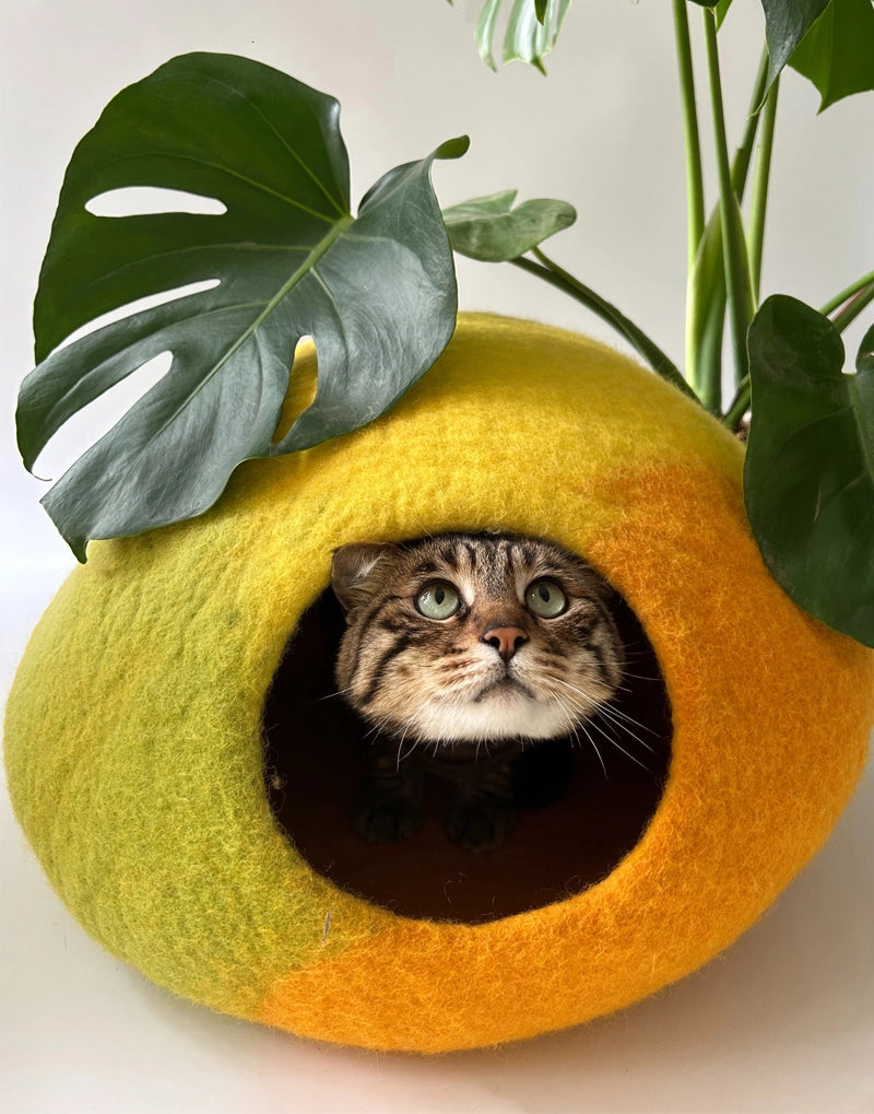 NEPALI WOOL FELT CAT CAVE – AMALFI LEMON