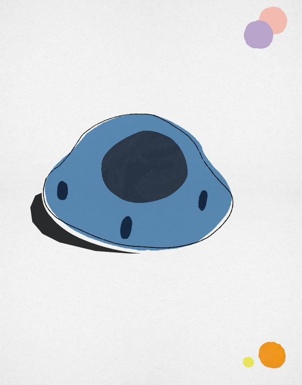 MYSTERIOUS BLUE CRYSTAL & ROTTEN PUMPKIN