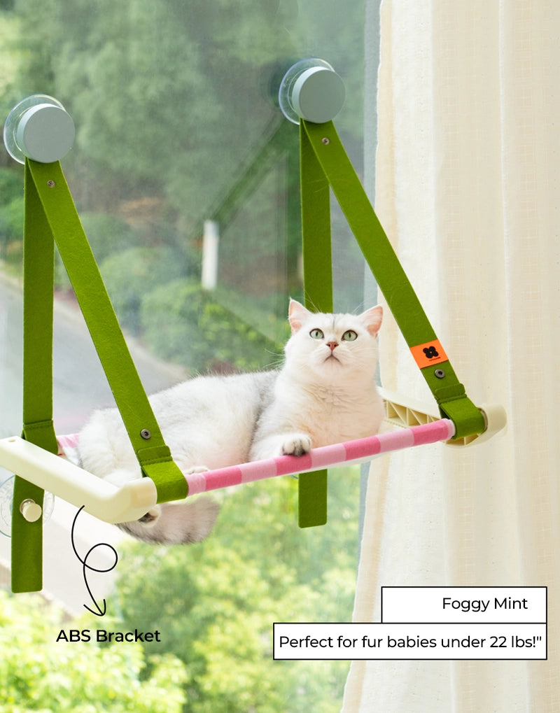 WINDOW PERCH