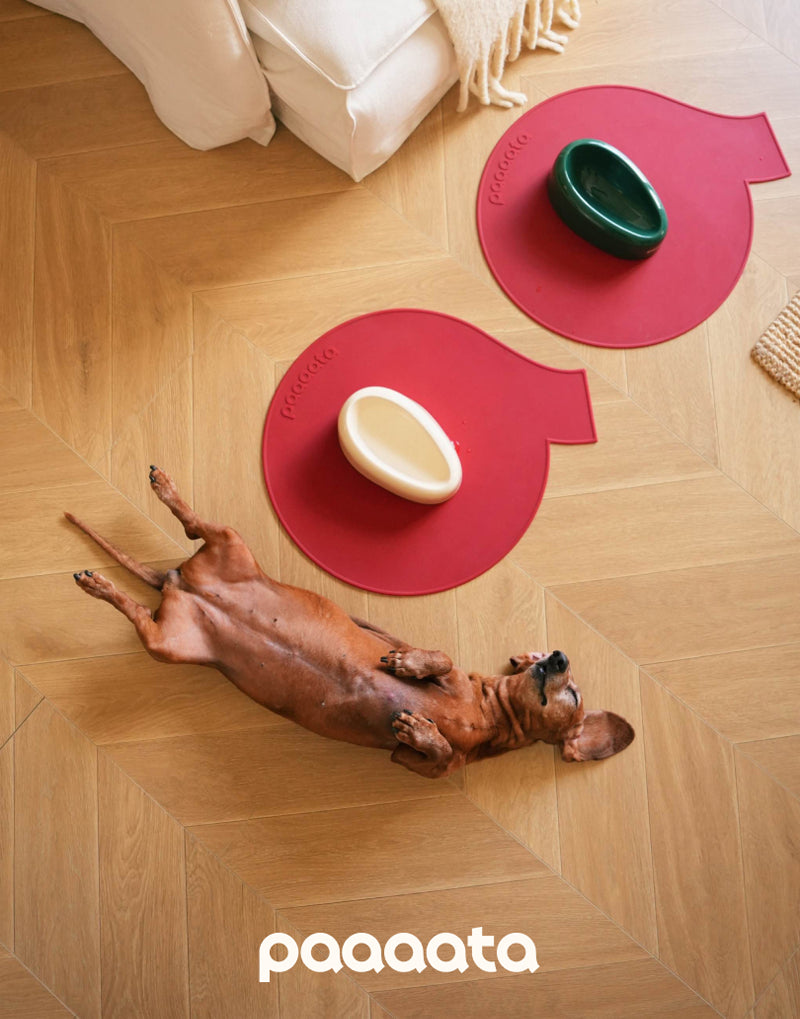 SIGNATURE BOWL & MAT FOR LONG-EARED DOGS