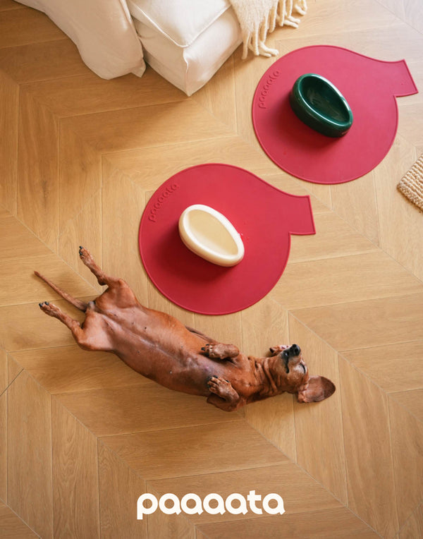SIGNATURE BOWL & MAT FOR LONG-EARED DOGS
