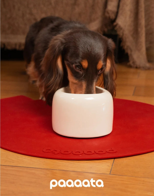 SIGNATURE BOWL & MAT FOR LONG-EARED DOGS