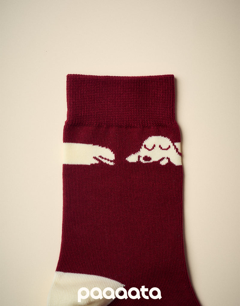 SAUSAGE DOG CHARACTER SOCKS