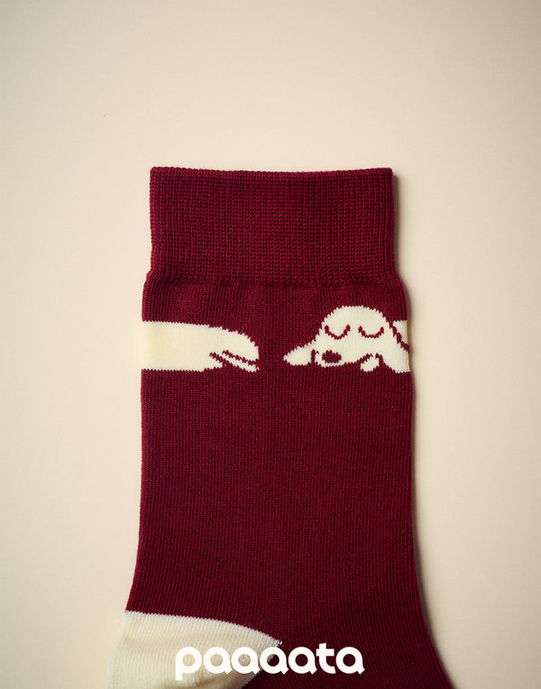 SAUSAGE DOG CHARACTER SOCKS