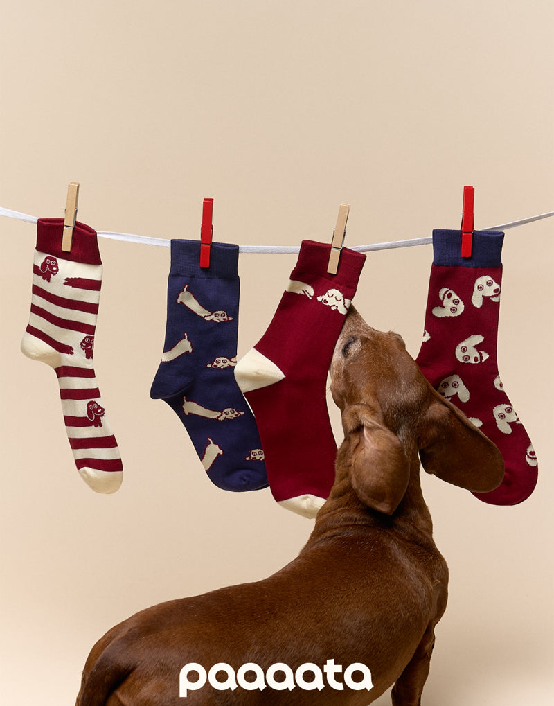 SAUSAGE DOG CHARACTER SOCKS