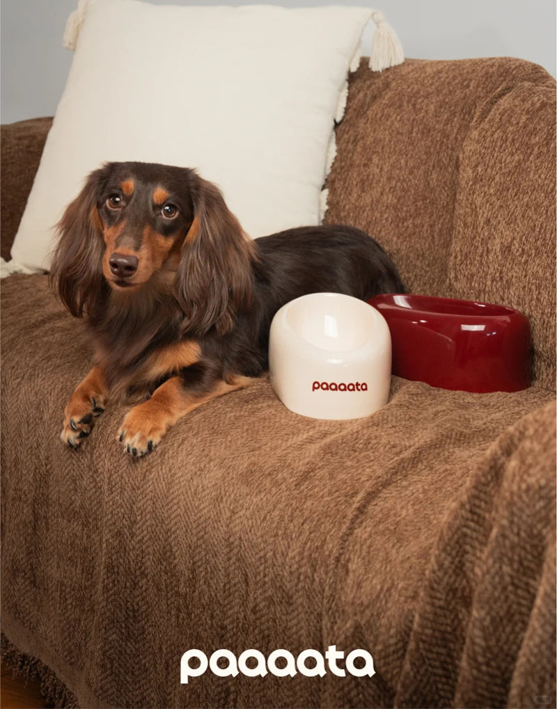 SIGNATURE BOWL & MAT FOR LONG-EARED DOGS