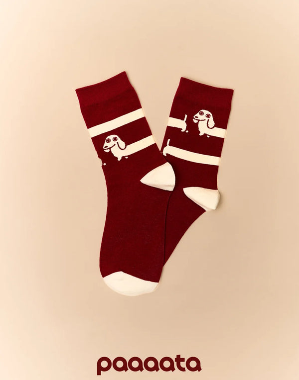 SAUSAGE DOG SOCKS– LIGHT COTTON SERIES